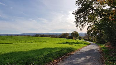 Landschaft